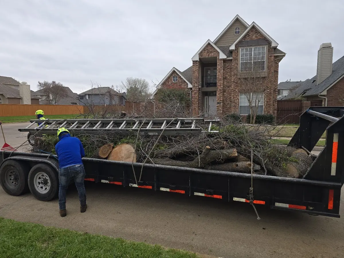 Expert Tree Removal with proper safety equipment in Goldonna